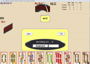 software - SKAT Card Game From Special K Software 2.13 screenshot