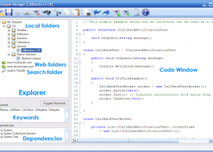 software - Snippet Manager 2010 screenshot