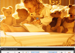 Soft4Boost Screen Recorder screenshot