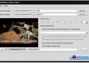 software - Soft4Boost Video to Flash 8.5.7.443 screenshot