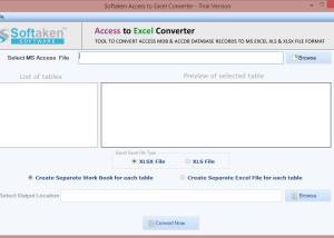 software - Softaken Access to Excel Converter 1.0 screenshot