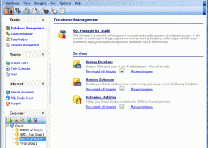 software - SQL Management Studio 2011 for Oracle 1.2.0.8 screenshot