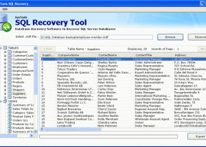 software - SQL Server Database Recovery 8.0 screenshot