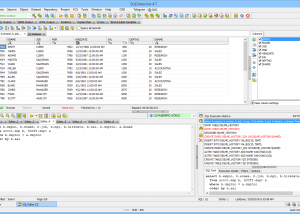 software - SQLDetective 5.0.1.124 screenshot