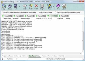 Ssh Tunnel Easy Portable Version screenshot