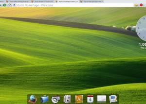 SSuite NetSurfer Extreme x64 screenshot