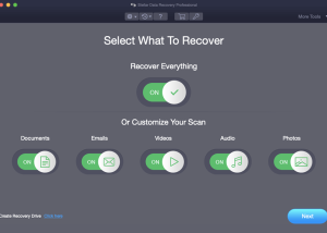 Stellar Data Recovery Professional Mac screenshot