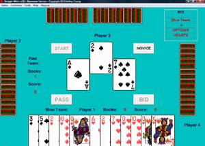 software - Straight Whist 3.1 screenshot