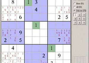 software - Sudoku 9981 3.0 screenshot