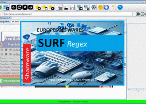 software - SurfRegex 2024 screenshot