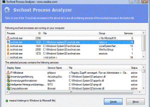 Svchost Process Analyzer screenshot