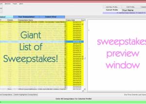 software - SweepersChoice Online Sweepstakes Soft 1.0 screenshot