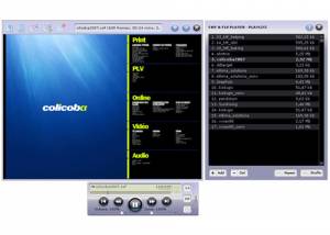 software - SWF & FLV Player 3.0.61 screenshot