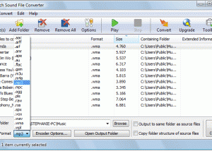 software - Switch Sound File Converter Free 6.27 screenshot