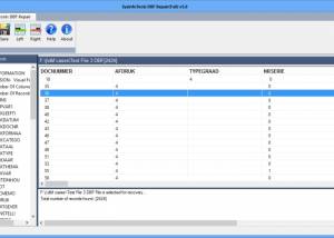 software - SysInfoTools DBF Recovery 3.0 screenshot