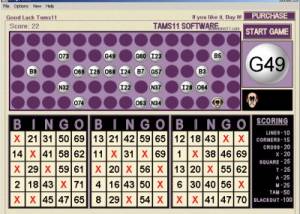 software - Tams11 Bingo Blitz 1.0.0.0 screenshot