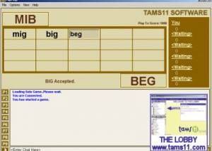 software - Tams11 Flip Flop 1.0.2.0 screenshot