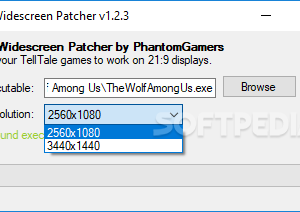 software - TellTale Widescreen Patcher 1.6.0 / 1.7.0 Pre-re screenshot