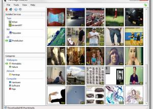 software - The Image Collector 1.16 screenshot