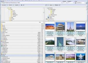 The V File Viewer screenshot