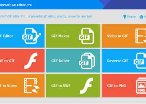 software - ThunderSoft GIF Editor Pro 5.2 screenshot