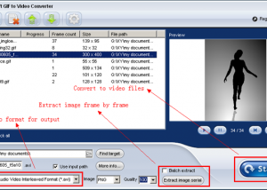 Full ThunderSoft GIF to Video Converter screenshot
