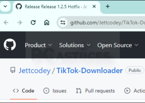 software - TikTok Downloader 1.2.9 screenshot