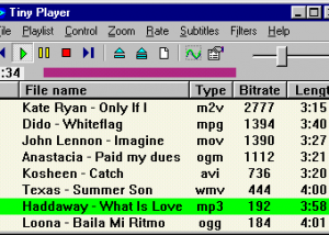 software - TinyPlayer 2.8.5 screenshot