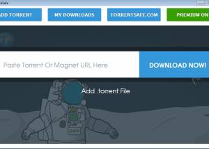 software - TorrentSafe 1.0 screenshot
