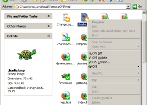 software - TortoiseCVS 1.12.6 RC 1 screenshot