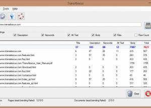 software - TransAbacus 2.0.2 screenshot