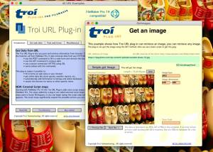 software - Troi URL Plug-In 8.0 screenshot