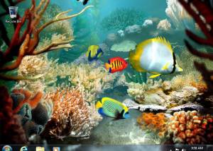 software - Tropical Fish 3D Screensaver 1.3 screenshot