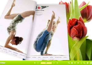 software - Tulips Theme for 3D Flash Flip Book 1.0 screenshot