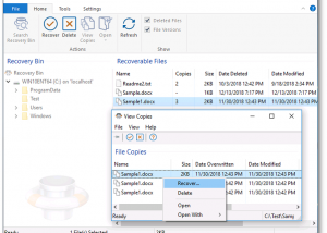 software - Undelete Server 11.0.276.0 screenshot