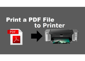 software - VeryUtils PDF to Printer Command Line 2.7 screenshot