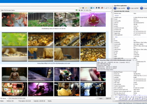 Full Video File Browser screenshot