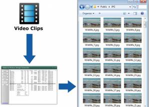 software - Video to Picture Image Converter 3.1.1739 screenshot