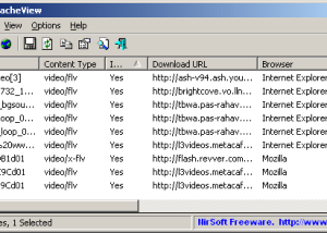 software - VideoCacheView 3.09 screenshot
