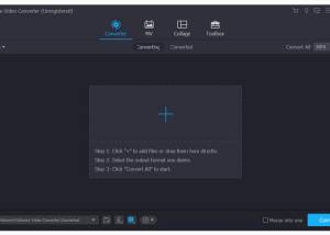 software - Vidmore Video Converter 1.3.36 screenshot