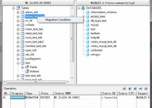 Viobo Access to MySQL Data Migrator Bus. screenshot