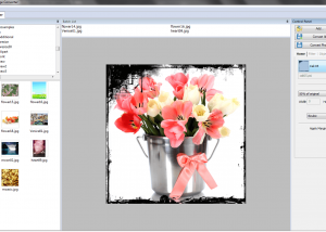 software - VISCOM Easy Image Converter 3.0 screenshot