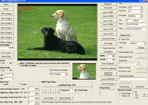 software - VISCOM TIFF Viewer ActiveX SDK 12.15 screenshot