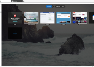 Full Vivaldi screenshot
