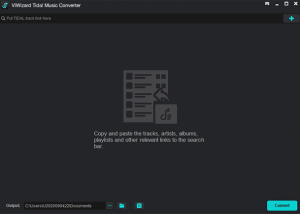 software - ViWizard Tidal Music Converter for Windows 1.0.0 screenshot