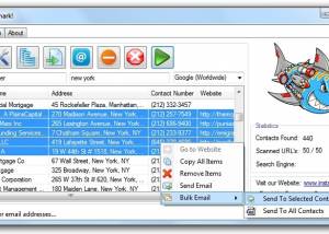 software - Web Data Shark 1.0 screenshot