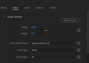 software - WebM for Premiere 1.5.0 screenshot