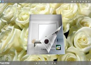 White Rose Style Theme for 3D Book screenshot