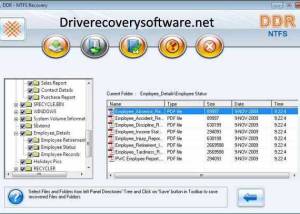 software - Windows Drive Recovery Software 9.0.1.6 screenshot