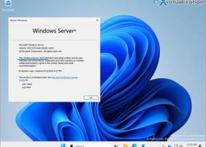 software - Windows Server 2025 10.0.26100.1.240331- screenshot